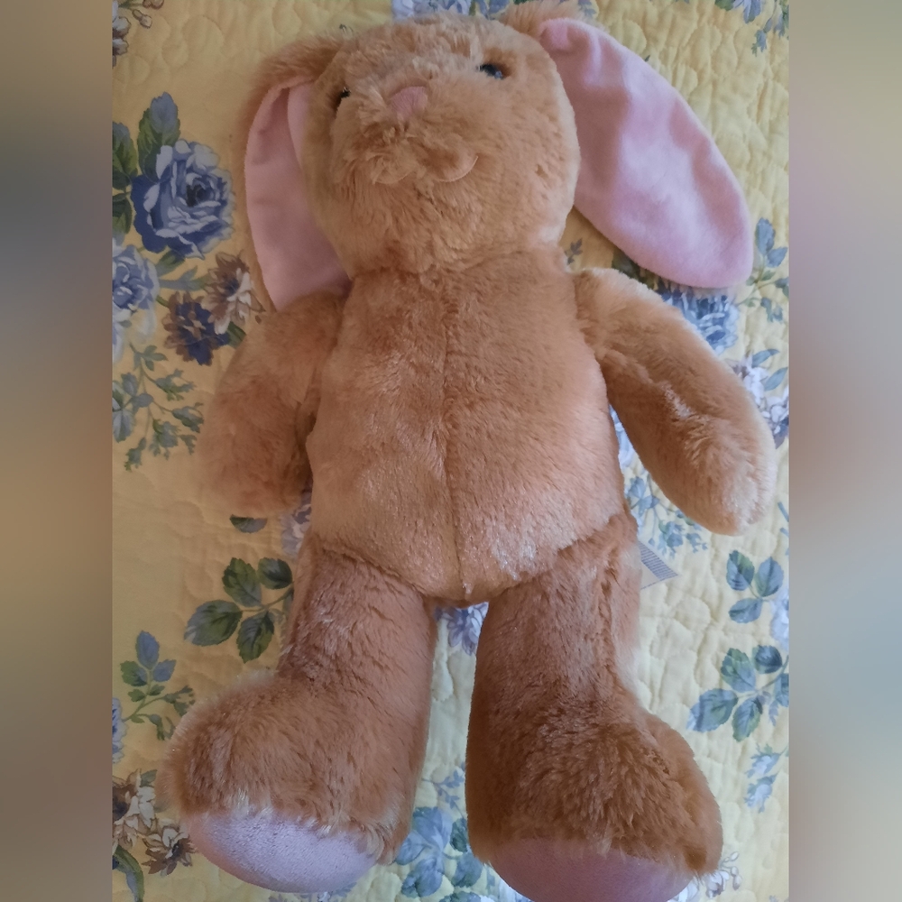 Build a bear Bunny Pawlette